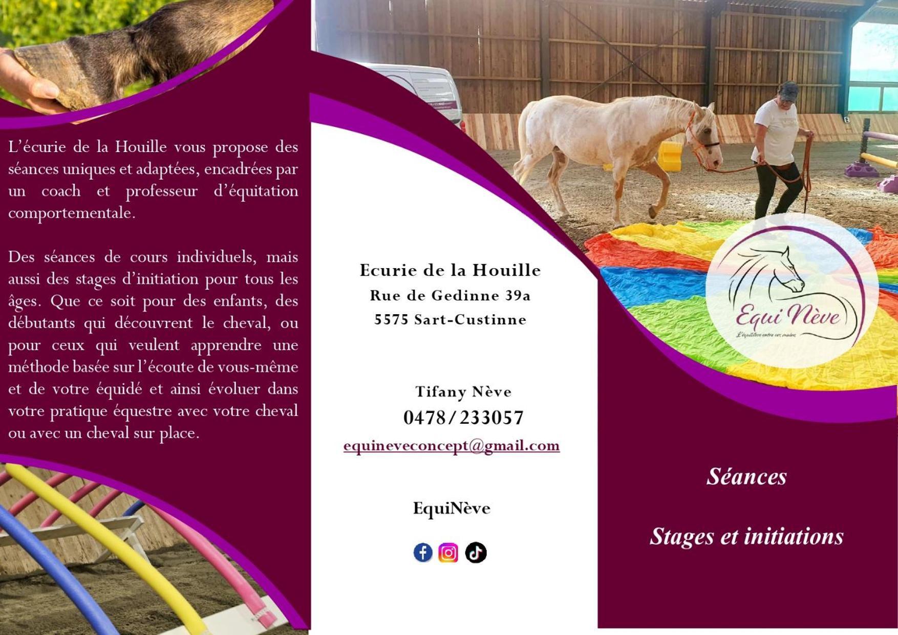 Villa Le Relais De La Houille Sart-Custinne Esterno foto